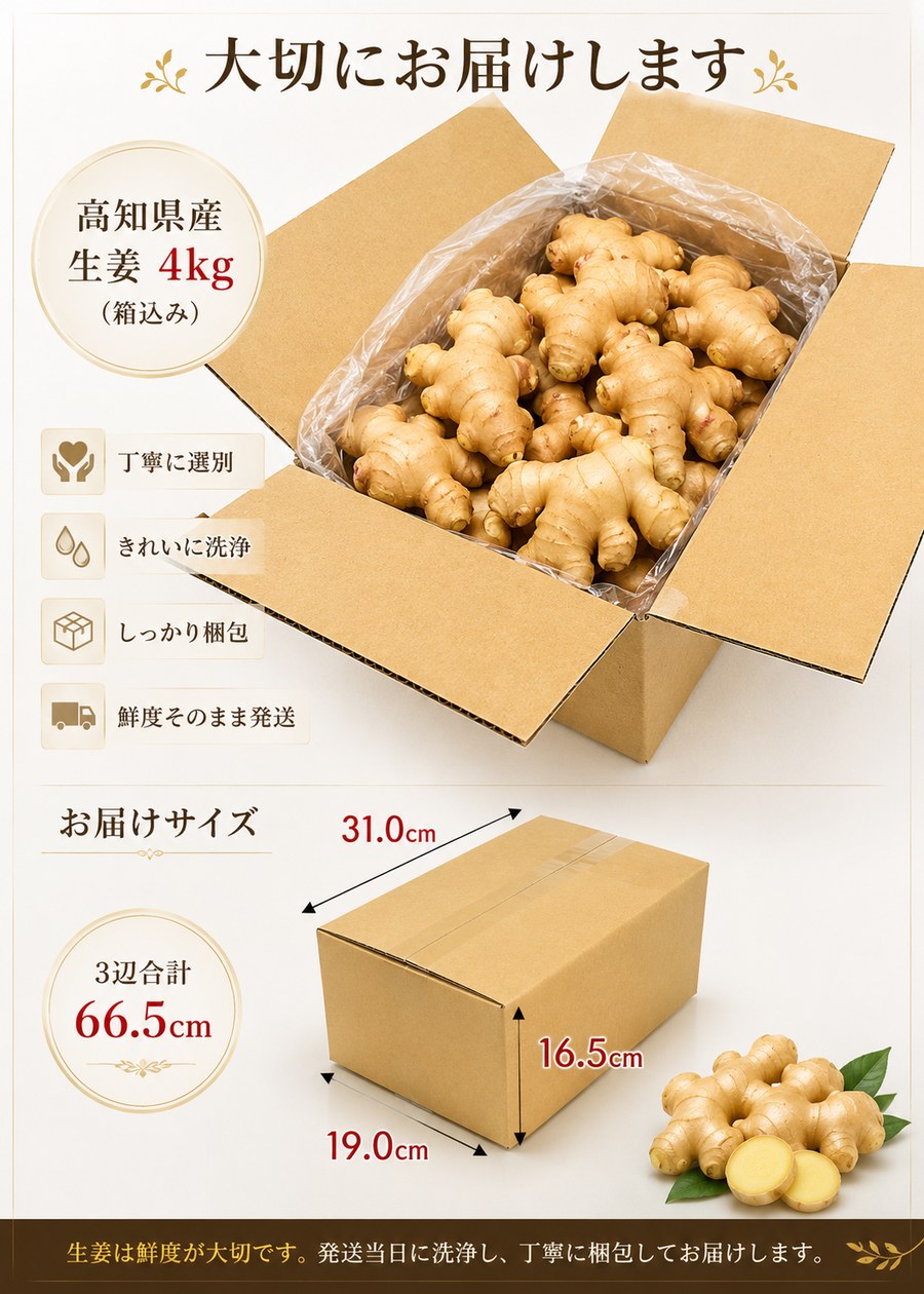 高知県産 生姜土佐一 4kg｜仁淀川流域限定・囲生姜