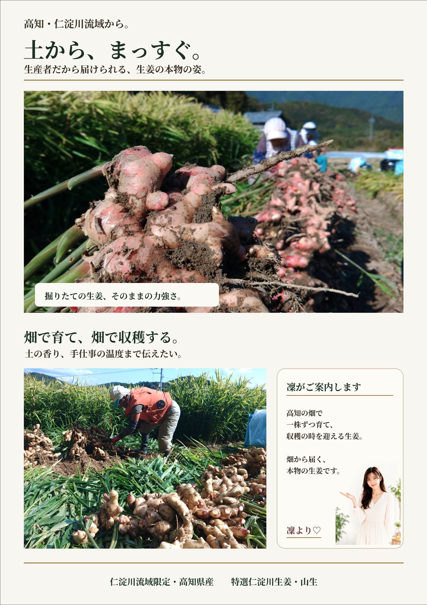 ジンジャーシロップ＆粉末しょうがセット専用箱
