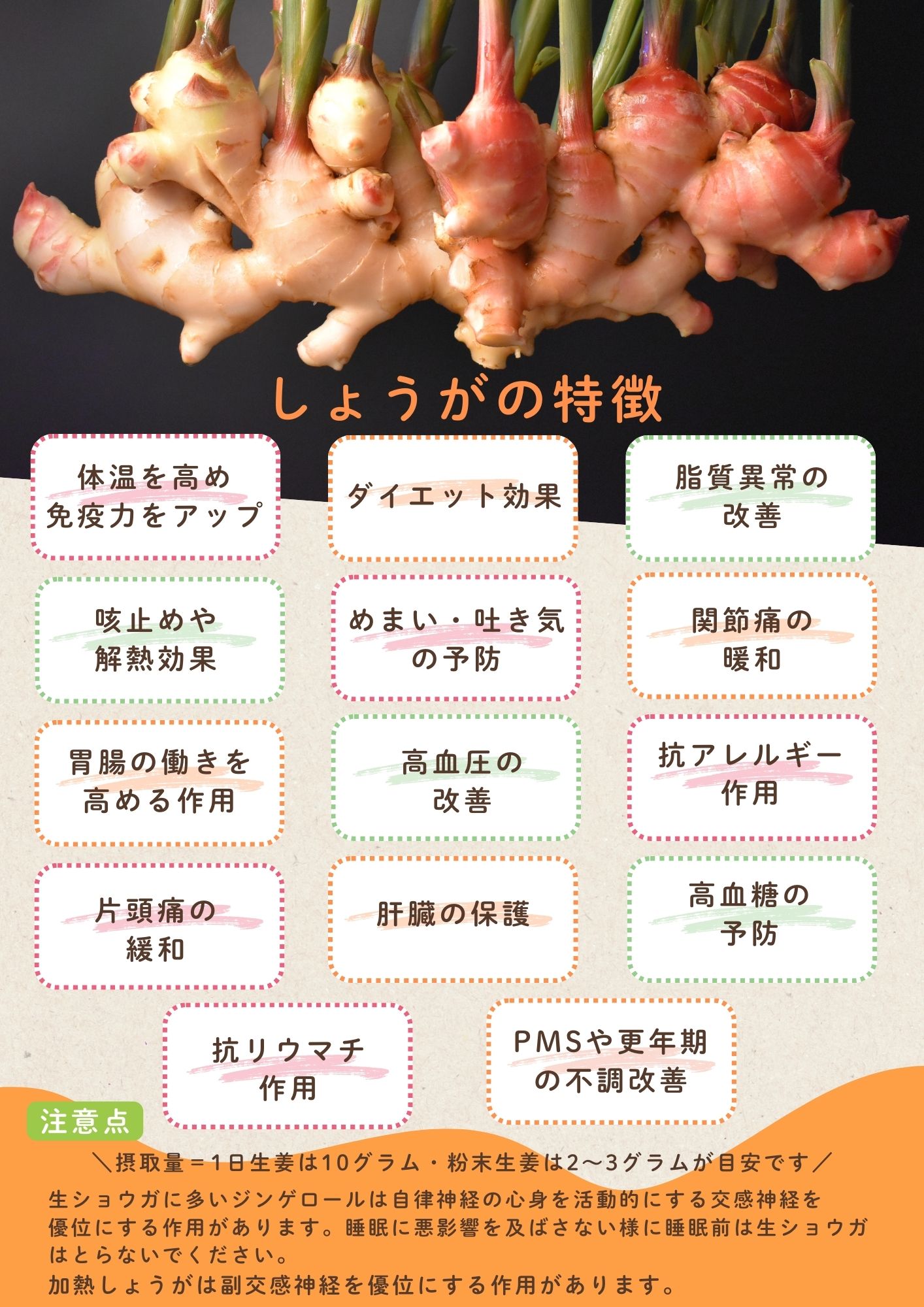 高知県産囲生姜5Kg 自然農法 囲い生姜 5Kg 高知県産 | おだた農園